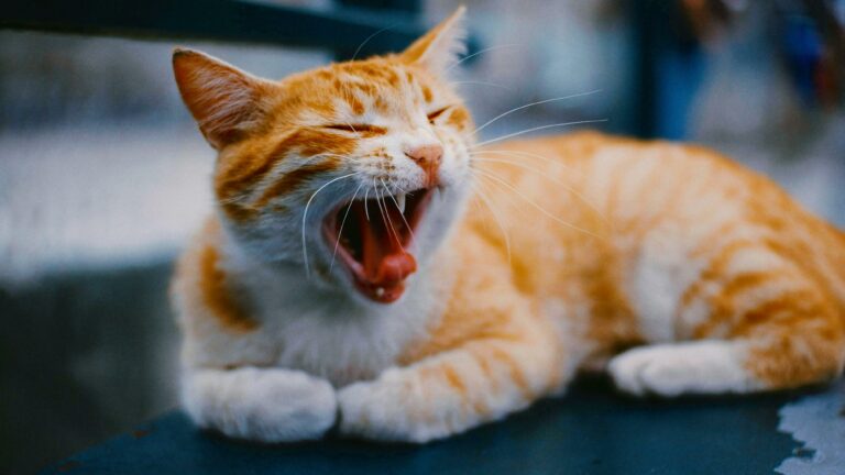 Repurpose old blog content - Cover Photo