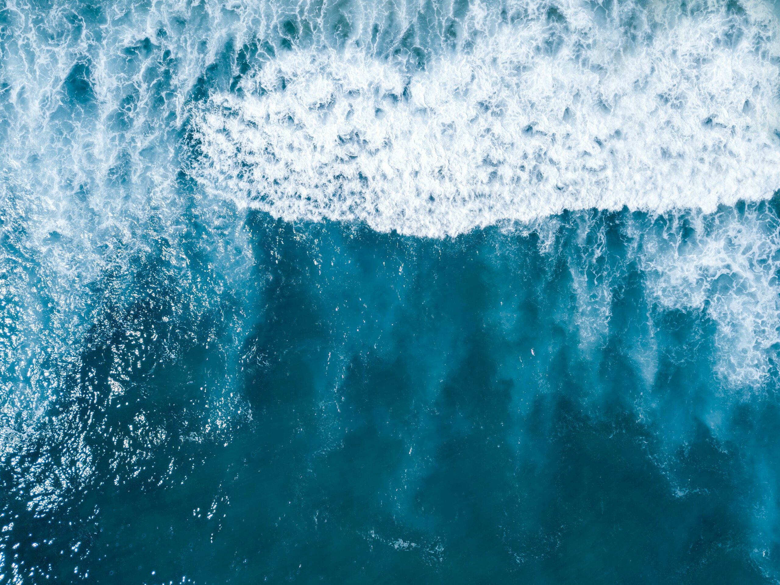 social media audit template - Inline Photo