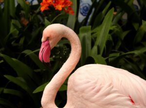 Lead Generating Website - Cover Photo