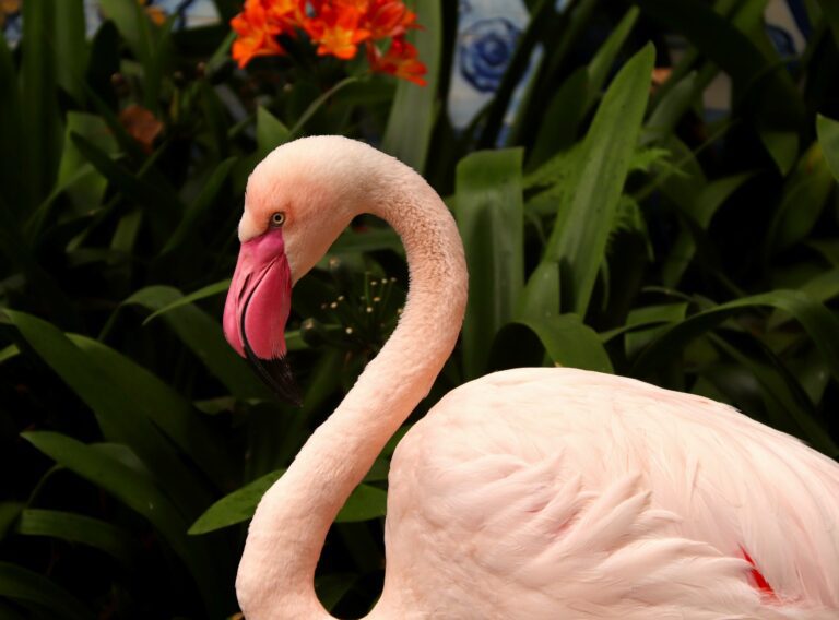 Lead Generating Website - Cover Photo