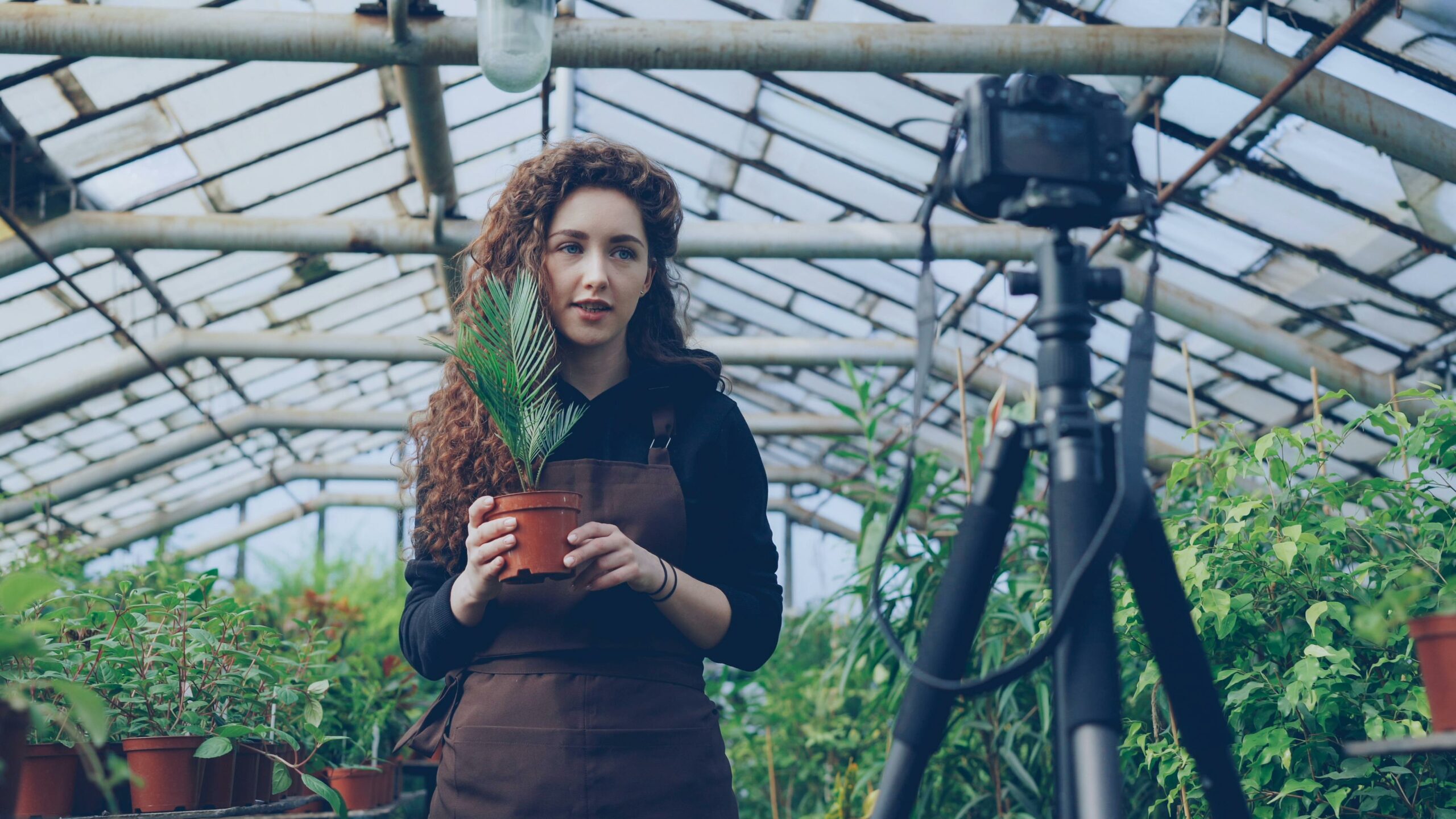 landing pages for influencers - Inline Photo