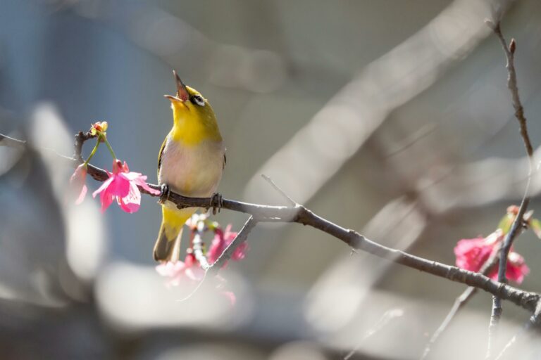 Live Tweeting Strategy - Cover Photo