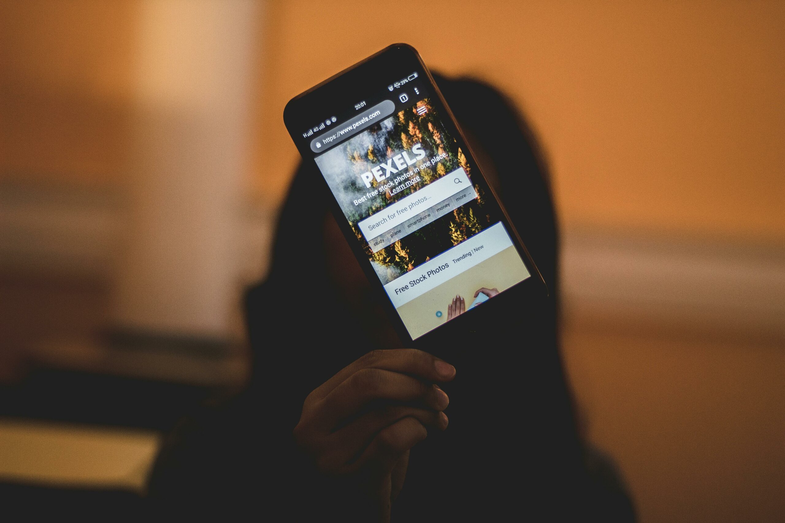mobile website version - Inline Photo