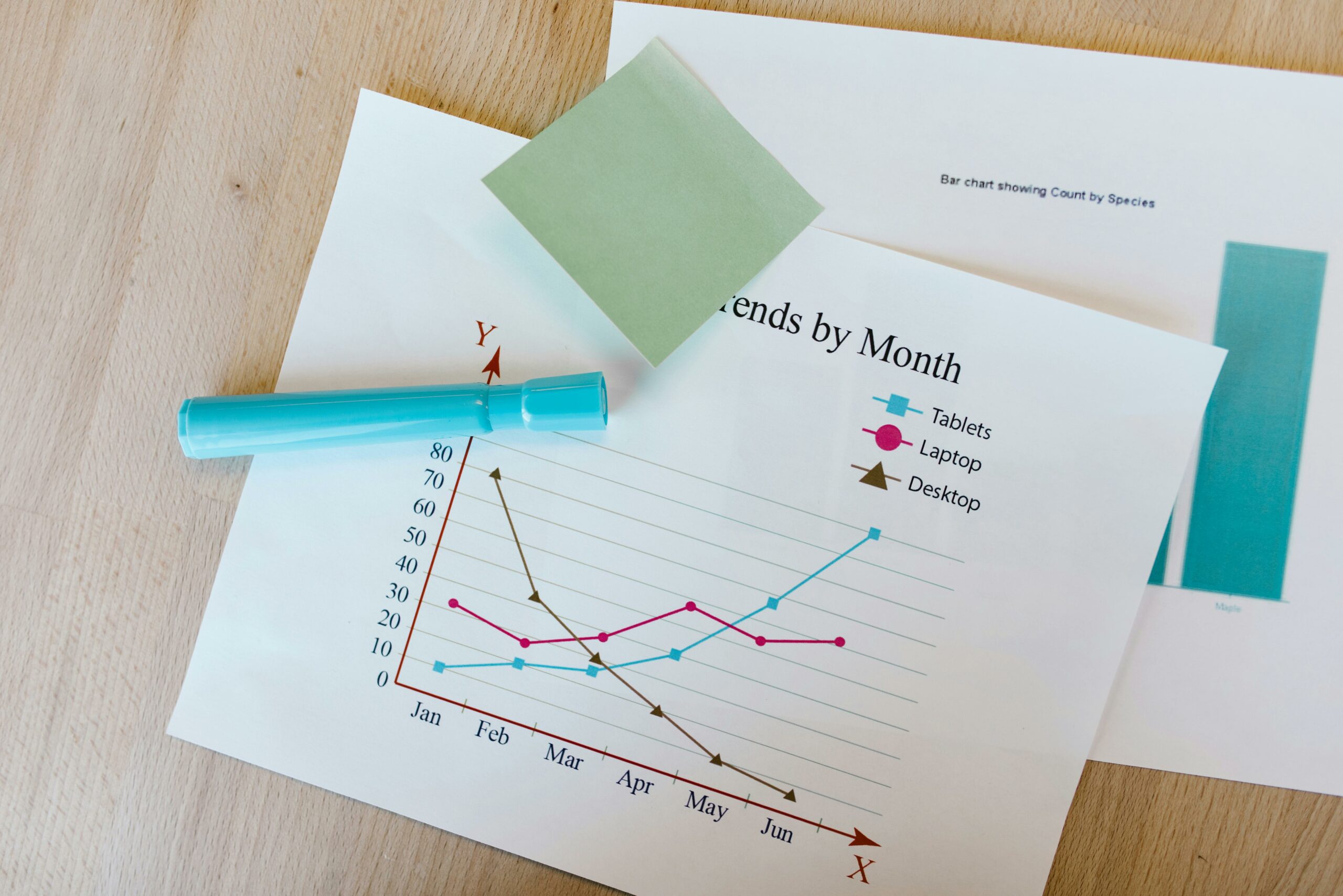 world class marketer - Inline Photo