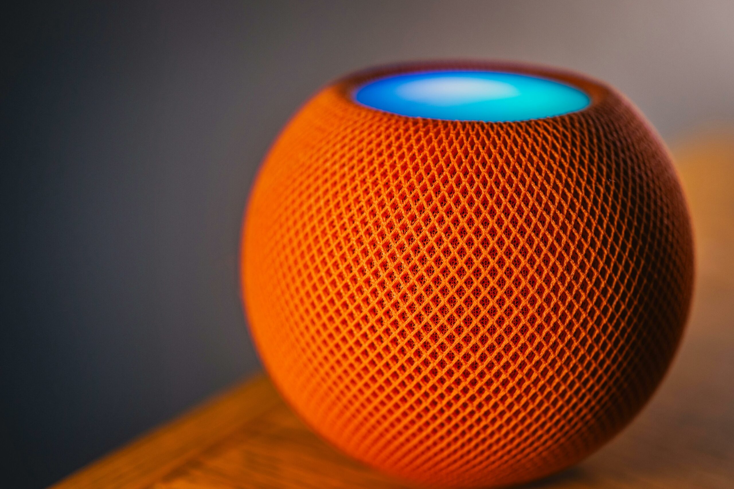 Google Voice Search - Inline Photo