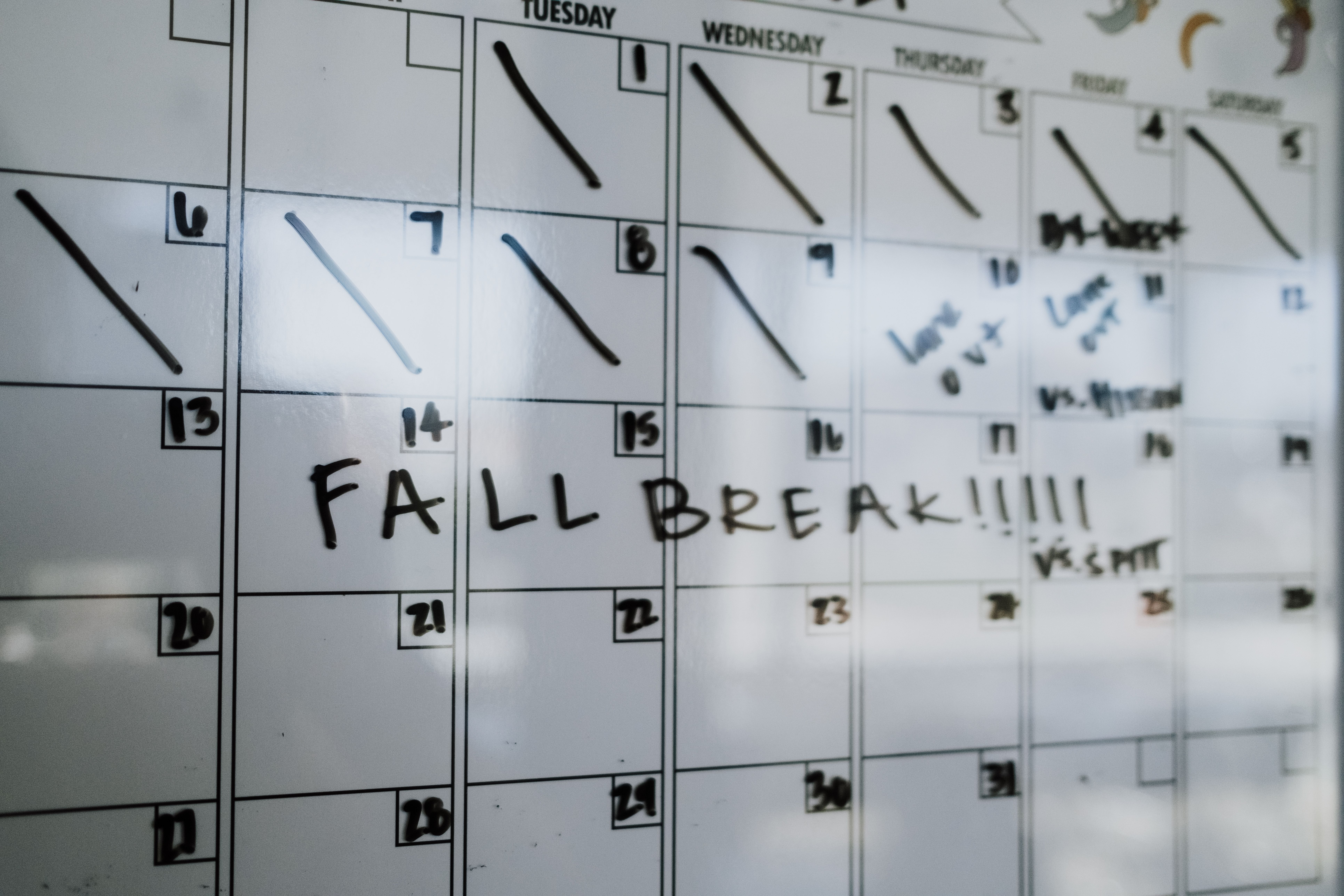 Schedule posts on LinkedIn - Inline Photo