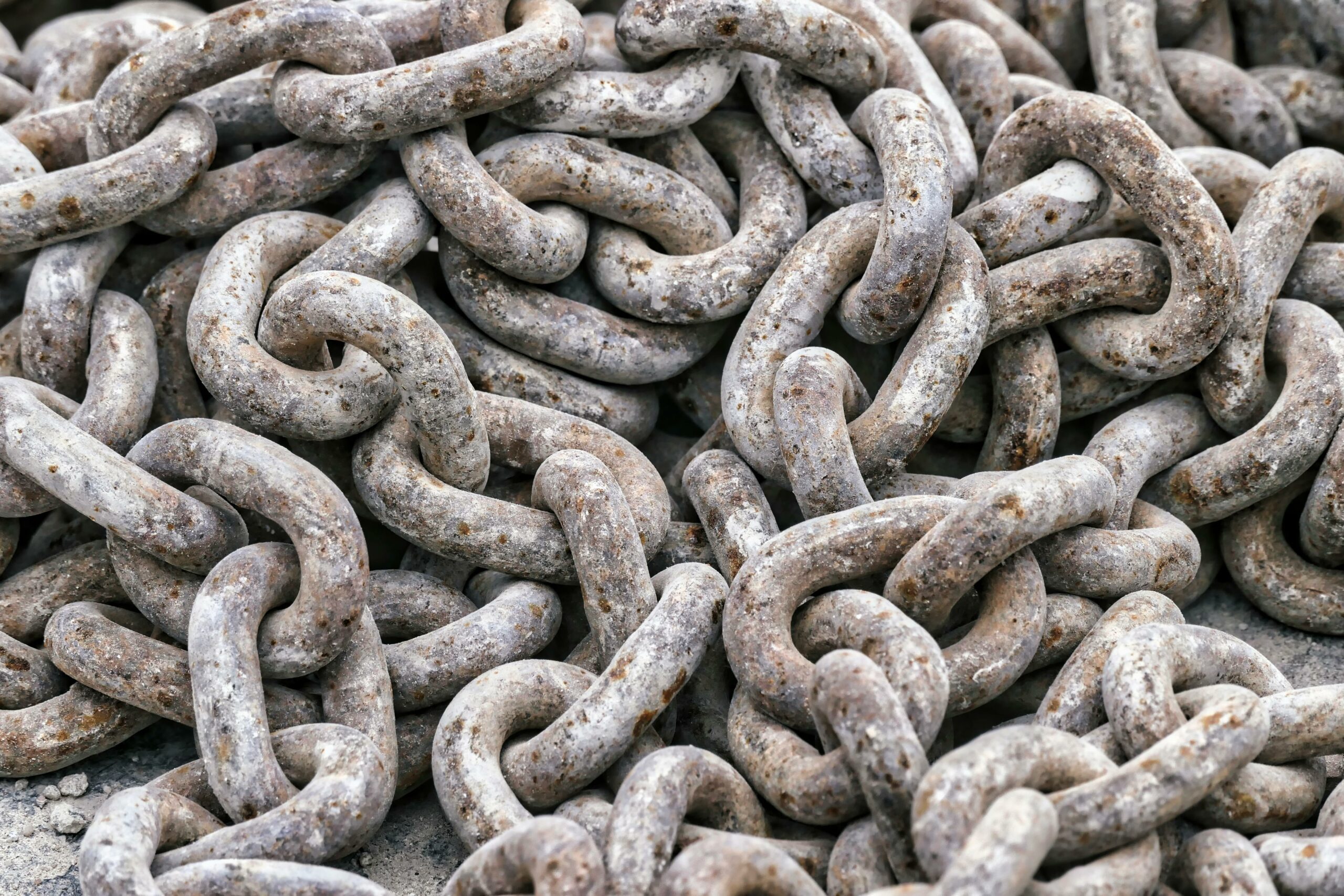 types of backlinks - Inline Photo
