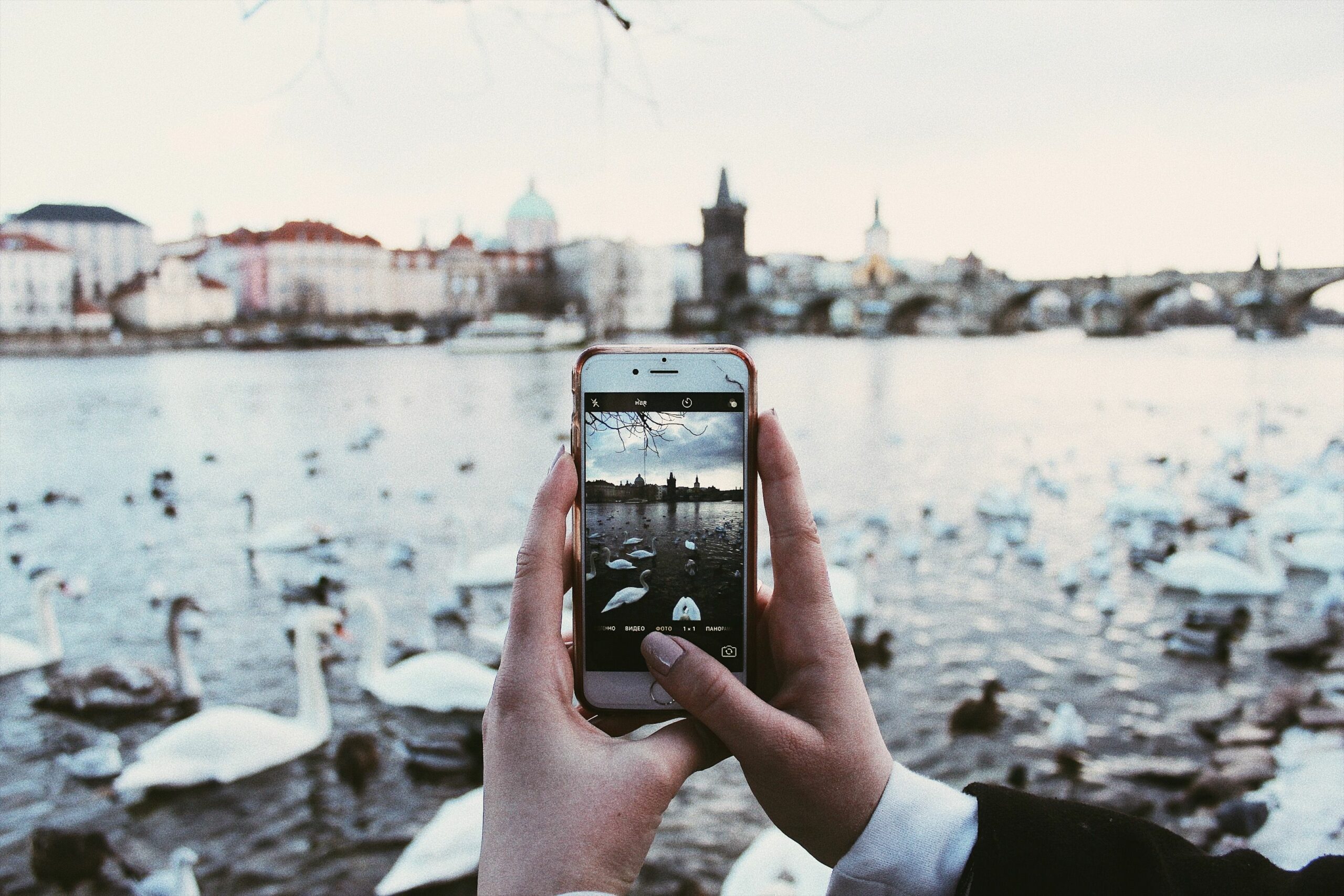 Instagram captions - Inline Photo