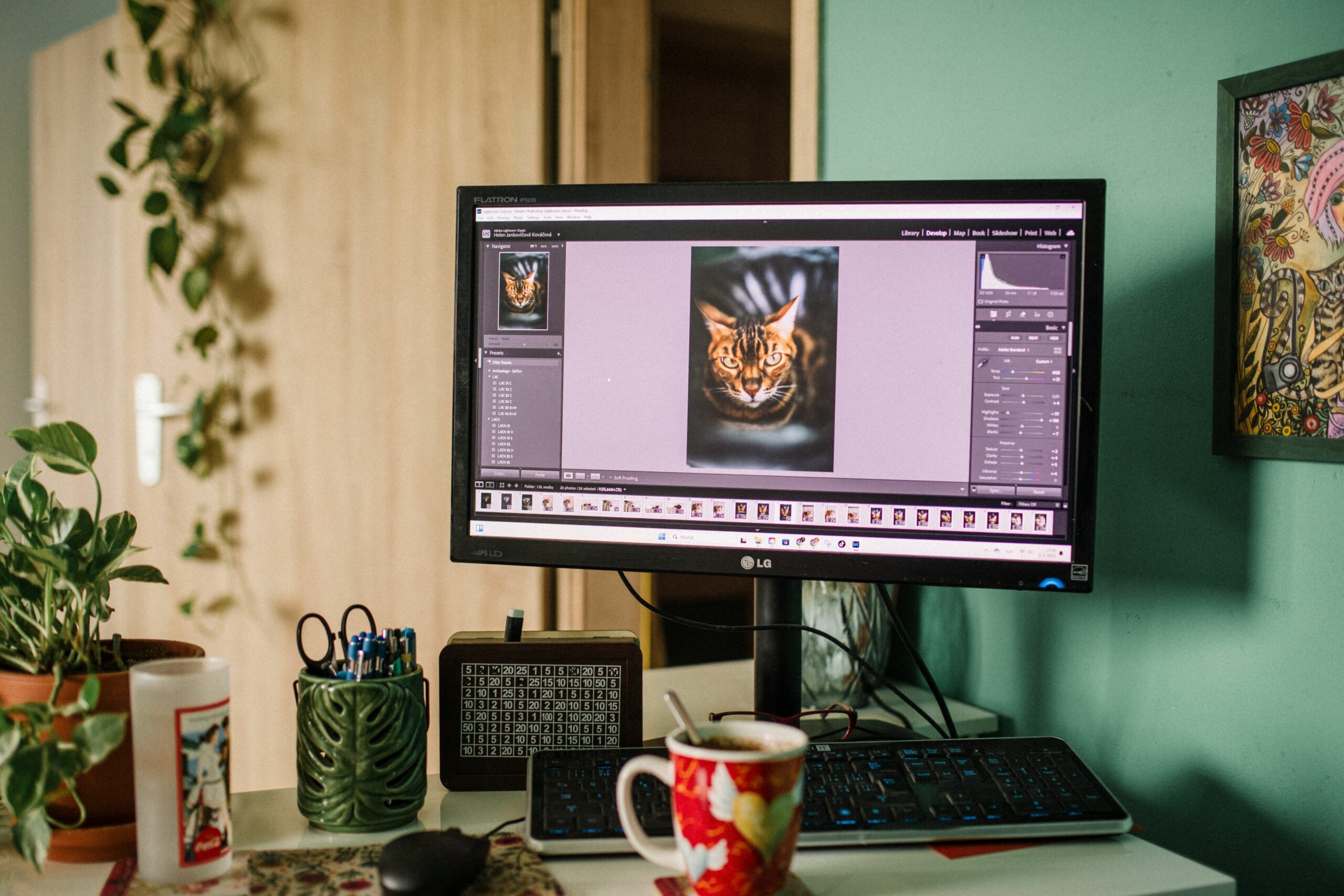 Best TikTok memes - Inline Photo