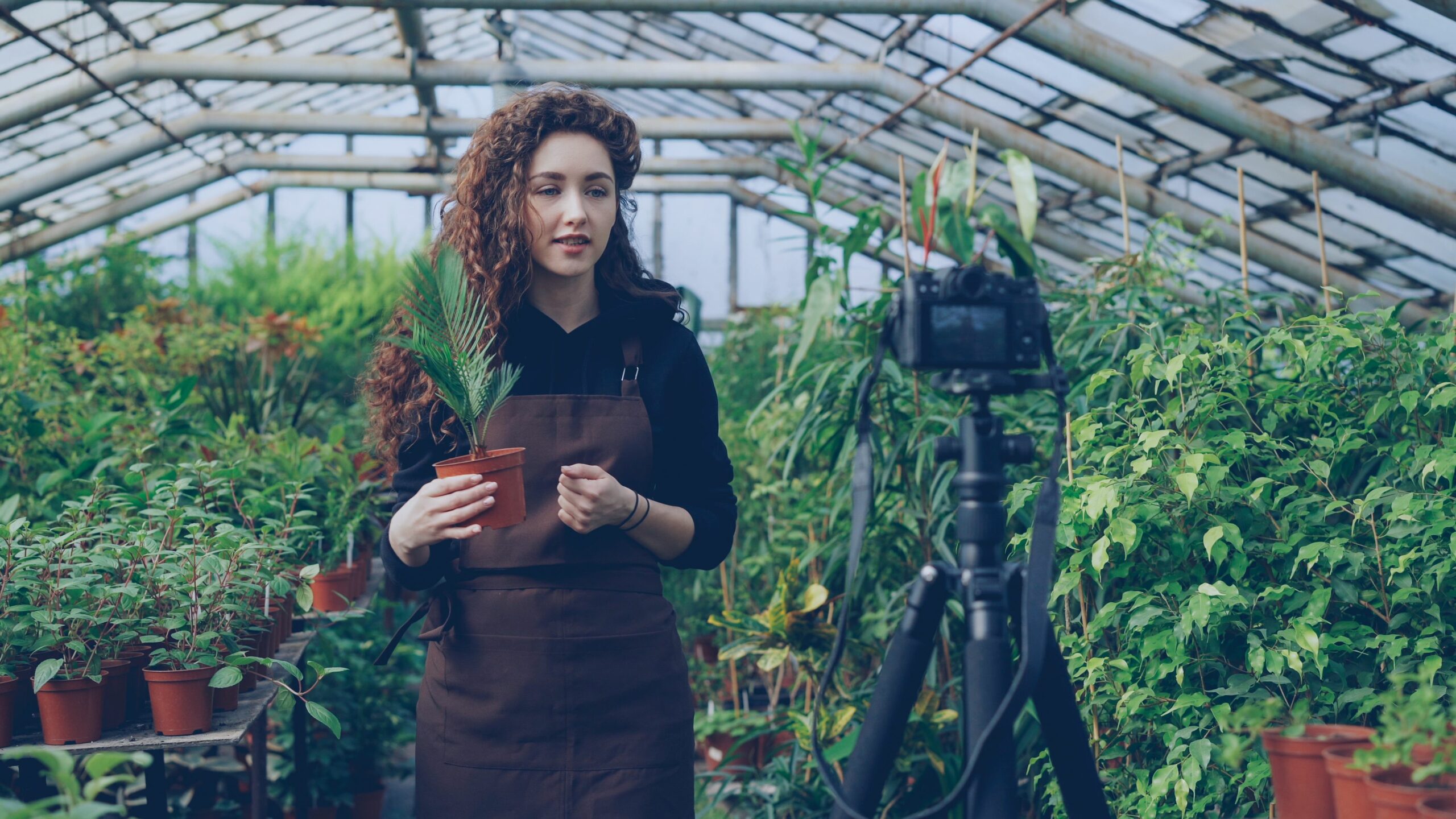 Instagram marketing trends 2021 - Inline Photo