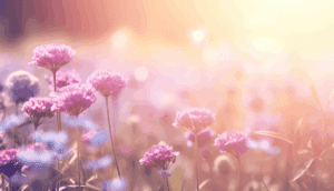 Tall pink flowers standing out in a sunny field — metaphor for follower growth and standing out on social media