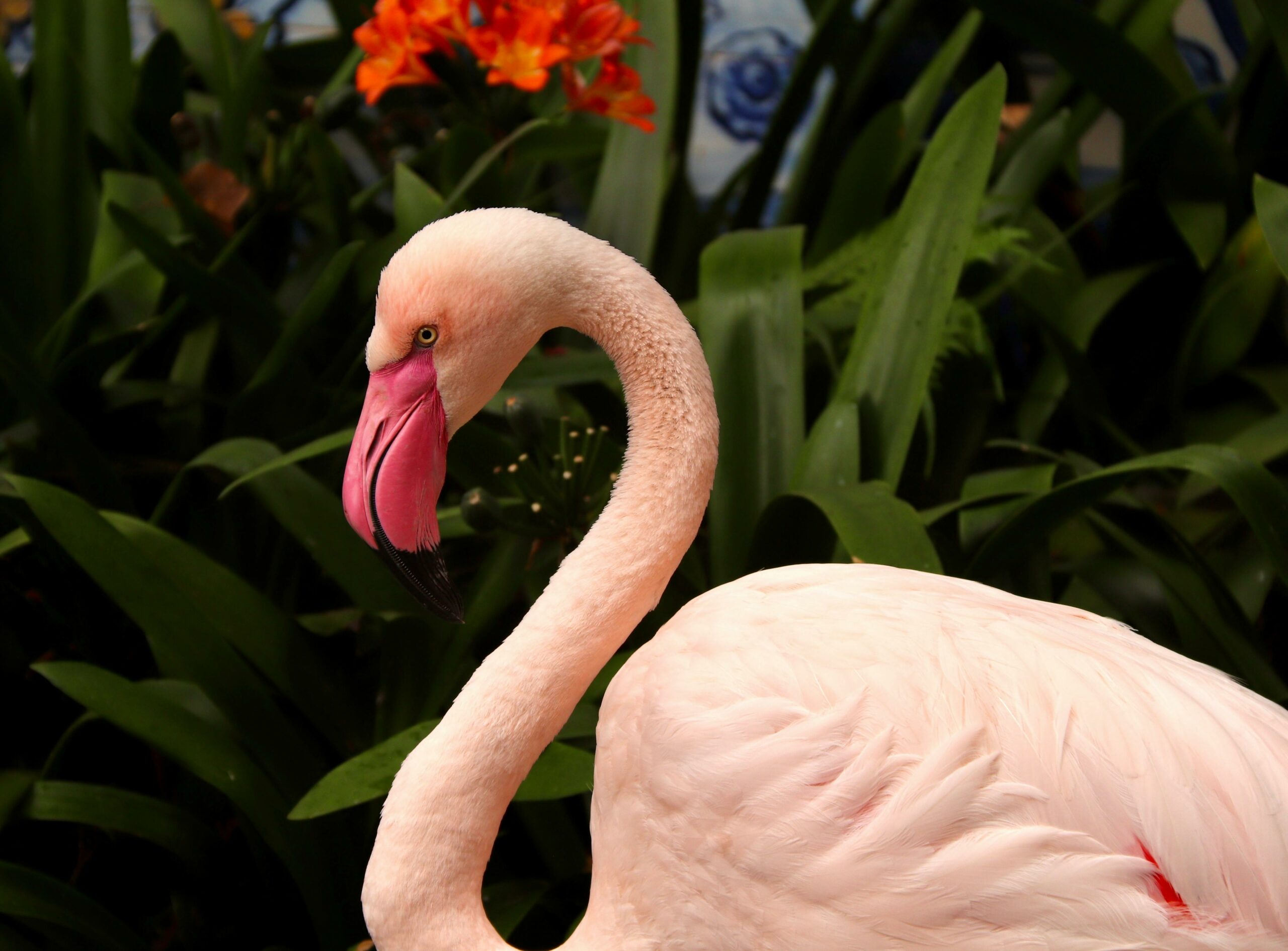 Lead Generating Website - Cover Photo